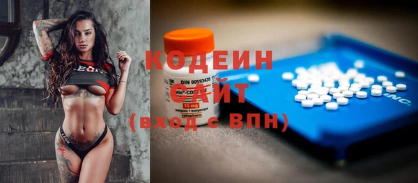 винт Гусь-Хрустальный