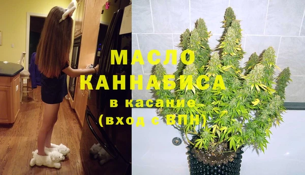 круглые Гусев