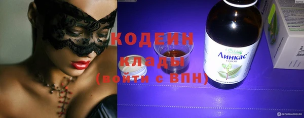 круглые Гусев