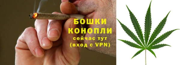 винт Гусь-Хрустальный