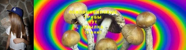 круглые Гусев