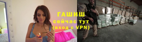 круглые Гусев