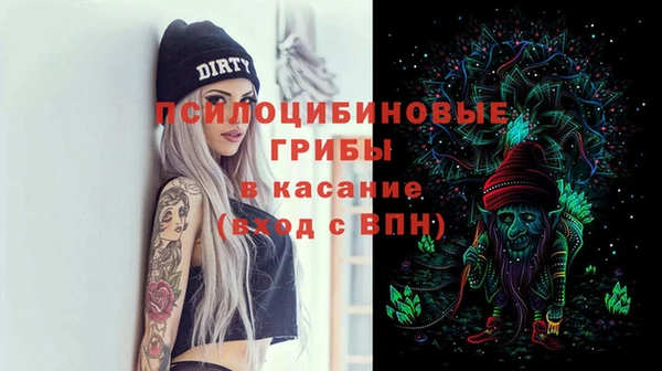 винт Гусь-Хрустальный