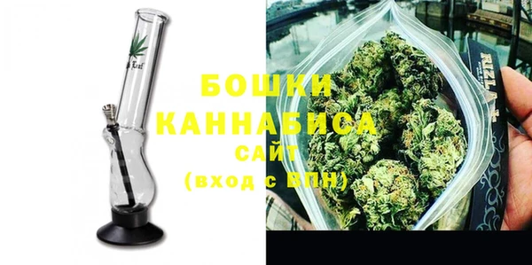 круглые Гусев