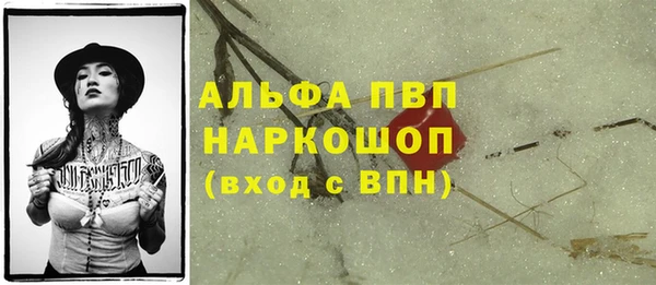 круглые Гусев