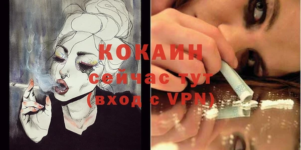 круглые Гусев