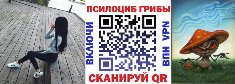 Галлюциногенные грибы прущие грибы  Купить  Апатиты 