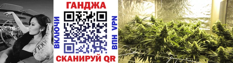 Купить закладки  Апатиты  Конопля планчик 